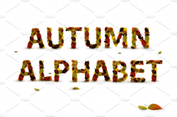 Autumn Leaf Alphabet ~ Symbol Fonts ~ Creative Market