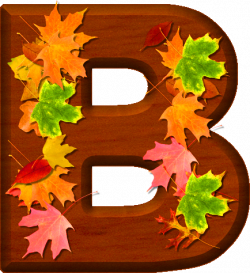 Presentation Alphabets: Cherry Wood Leaves Letter B