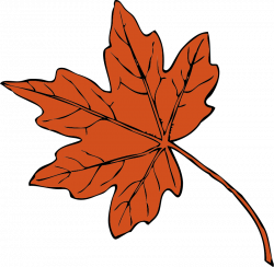 Green Maple Leaf Clipart | Clipart Panda - Free Clipart Images