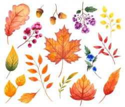 Fall watercolor clipart Autumn clipart Fall clipart Leaves ...