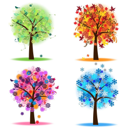 Four Seasons Trees Clipart Clip Art, Spring Summer Winter Fall ...