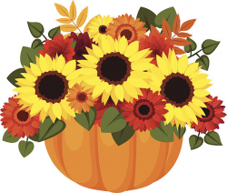 Sunflower clipart autumn - Pencil and in color sunflower clipart autumn