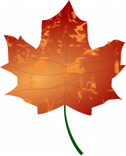 Clipart - Autumn Leaf 3