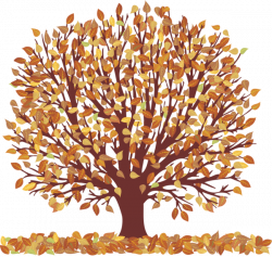 Autumn Tree with Falling Leaves Transparent Picture | Trees ...