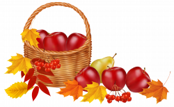 Basket with fruits and Autumn Leaves PNG Clipart Image | Gallery ...