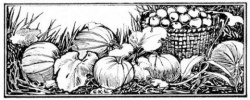 Autumn Clip Art - Fall Season Graphics | HubPages