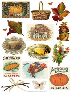 FREE Vintage Autumn Clip Art Collage Sheet | Vintage, Retro ...