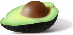 Avocado PNG images free download