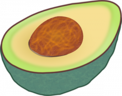 Avocado Clip Art at Clker.com - vector clip art online, royalty free ...