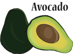 Avocado Clipart Image - Clip Art Library