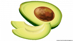 14 Great Avocado Fruit Clipart Free Download - Fruit Names A-Z With ...