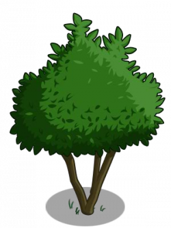 Avocado Tree | FarmVille Wiki | FANDOM powered by Wikia