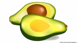 Avocado-PNG-transparent-images-free-download-clipart-pics-avocado ...