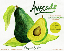 WATERCOLOR AVOCADO Clipart Commercial Use Clip Art Avacado Vegetable ...