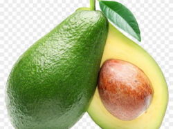 Free Avocado Clipart, Download Free Clip Art on Owips.com