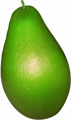 Avocado Transparent PNG Clip Art | Gallery Yopriceville - High ...