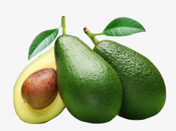 Avocado, Green, Fruit PNG Image and Clipart for Free Download