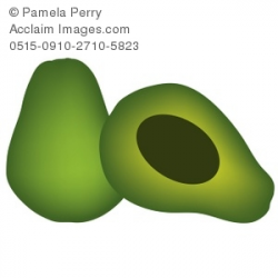 Clip Art Illustration of an Avocado
