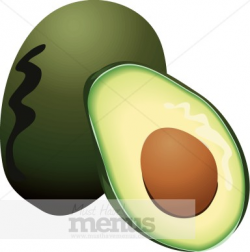 Avocado Clipart | Fruit Clipart