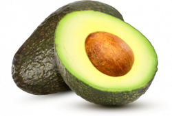 Download Avocado Free PNG photo images and clipart | FreePNGImg