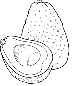 Fresh Avocados Coloring Pages Design | Printable Coloring Sheet