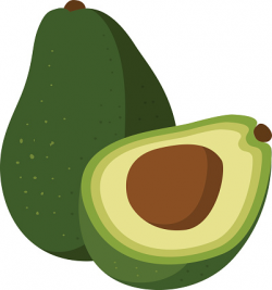 Avocado clipart | Nice Coloring Pages for Kids
