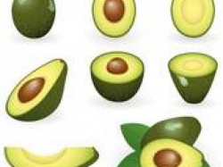 Avocado Clipart - Free Clipart on Dumielauxepices.net