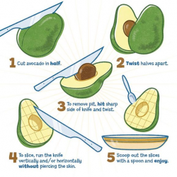 Everything You Always Wanted to Know About Avocados - Cave Mamas