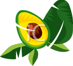 Clipart Picture of an Avocado, Cut Into Halves - foodclipart.com