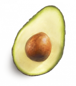 Avocado PNG Image Without Background | Web Icons PNG