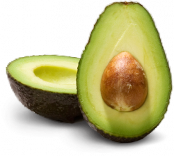 Avocado PNG Transparent Images | PNG All