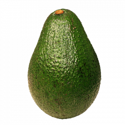 Avocado transparent PNG - StickPNG
