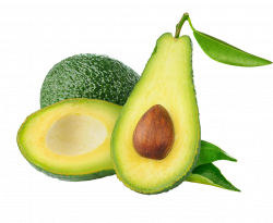 Avocado PNG Transparent Images | PNG All