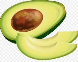 Avocado Vegetable Clip art - avocado png download - 1500*1167 - Free ...