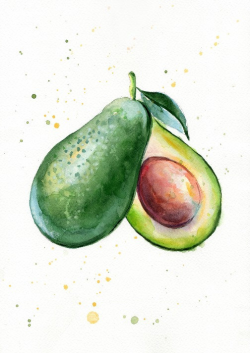 Set of 4 Avocado watercolor Print - Painting - illustration ...