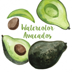 Watercolor Avocado Clip Art set, Avocado clipart, Food clip art ...