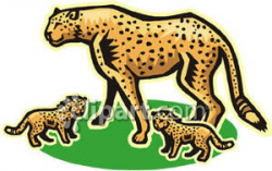 Cheetah clipart cubs - Pencil and in color cheetah clipart cubs