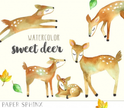 Watercolor Deer Clipart | Mommy and Baby Deer Woodland Animals ...