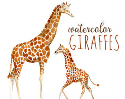 Watercolor giraffe | Etsy