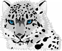 Baby clipart snow leopard - Pencil and in color baby clipart snow ...