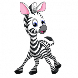 Cute Baby Zebra - Zebra Cartoon Pictures