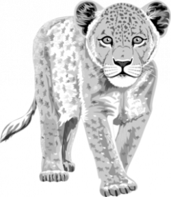 Leopard Clip Art at Clker.com - vector clip art online, royalty free ...