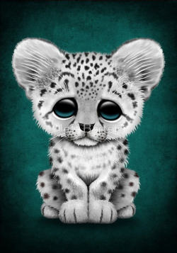 Cute Baby Snow Leopard Cub on Teal Blue' Art Print by jeff bartels ...