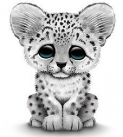 Adorable Baby Snow Leopard | Clip Art | Pinterest | Baby snow ...