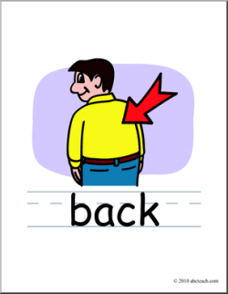 28+ Collection of Body Back Clipart | High quality, free cliparts ...