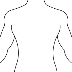 Clipart Body Outline Medical Front And Back Free Download Clip Art ...