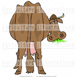 Royalty Free Stock Agriculture Designs of Cows