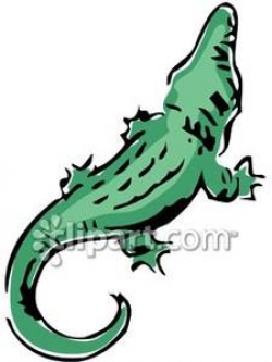 Back of A Crocodile - Royalty Free Clipart Picture