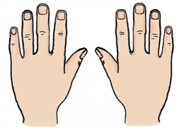 28+ Collection of Ten Fingers Clipart | High quality, free cliparts ...