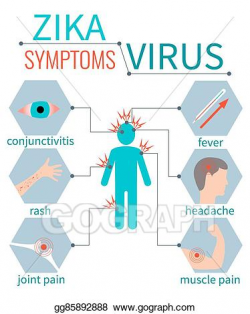 EPS Vector - Zika virus symptoms infografic. Stock Clipart ...